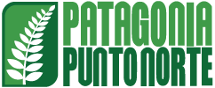 Pre-check Patagoniapuntonorte